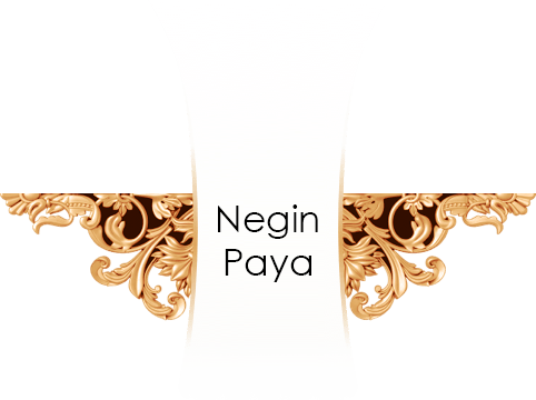 NeginPaya
